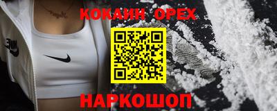 крисы Бийск