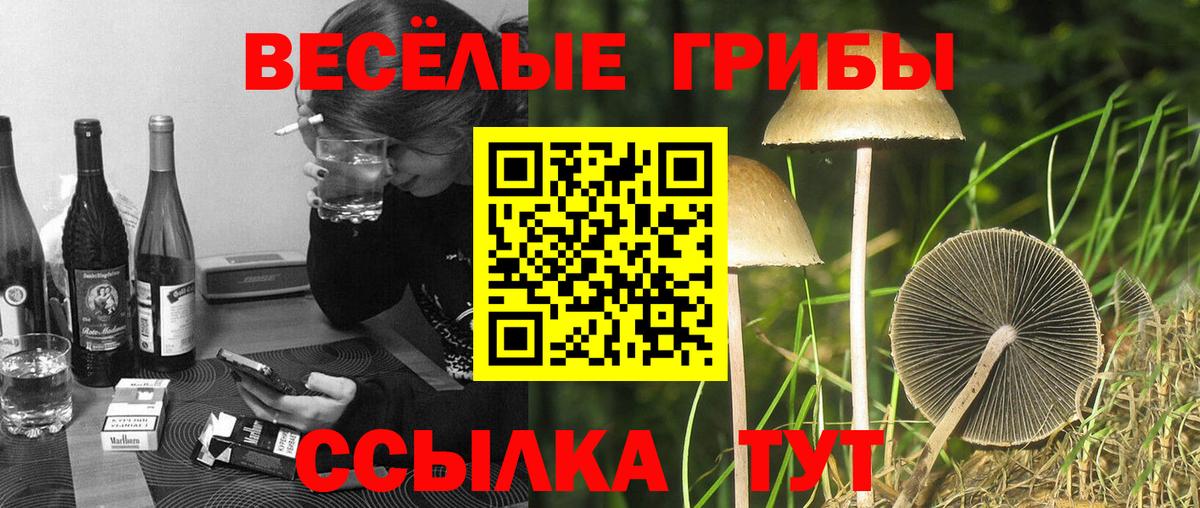 Канаш  Галлюциногенные грибы ЛСД  Псилоцибиновые грибы Cubensis  Вход с VPN 
