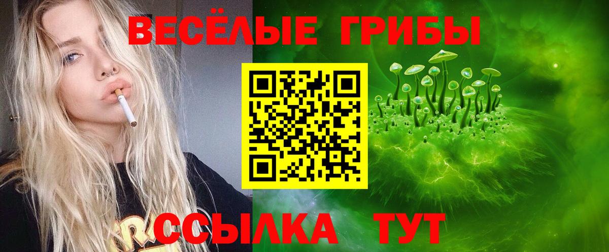 Псилоцибиновые грибы прущие грибы Канаш